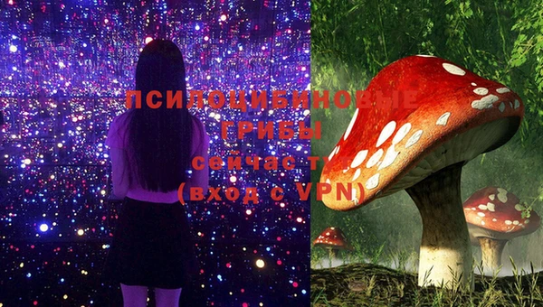 apvp Алексеевка