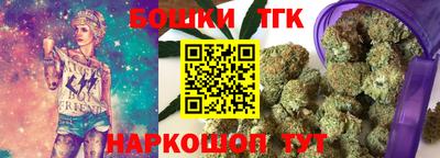 прущие грибы Гусиноозёрск