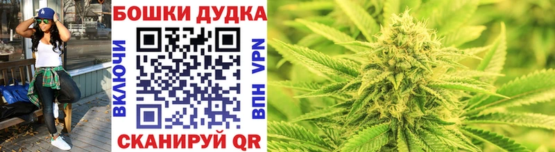 Конопля гибрид Добрянка